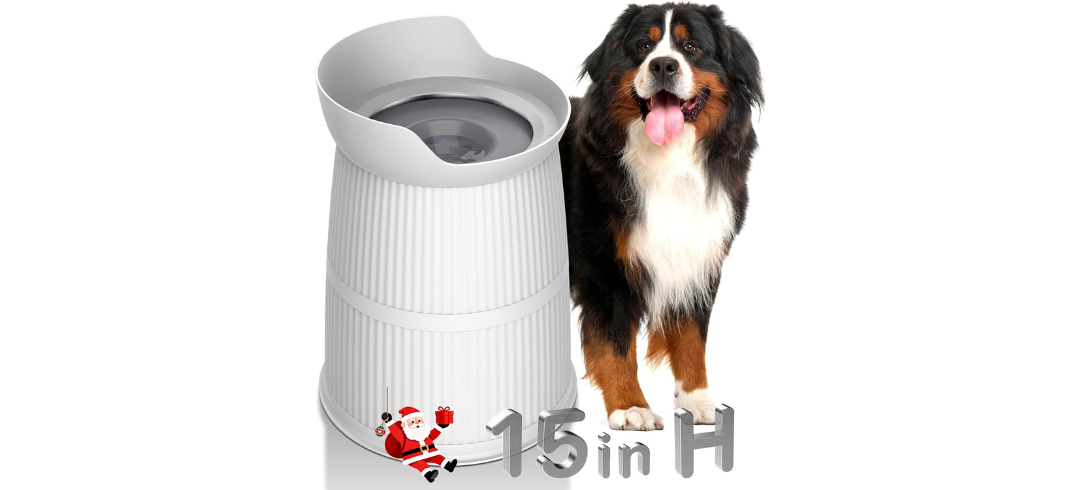 The Best No-Spill Water Bowls