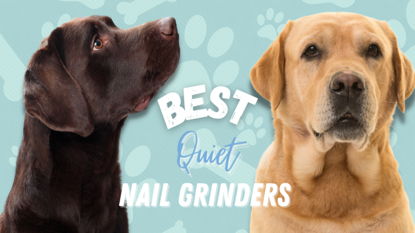 Best Quiet Nail Grinders in 2021