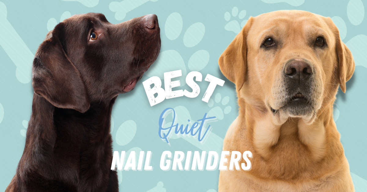 Best Quiet Nail Grinders in 2021