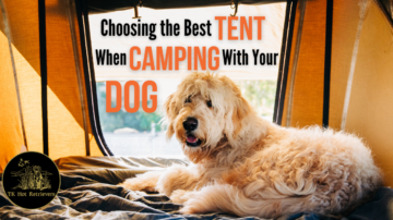 Choosing the Best Tent When Camping With Your Dog