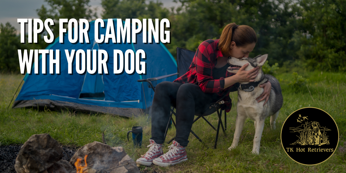 Tips for Camping with Your Dog