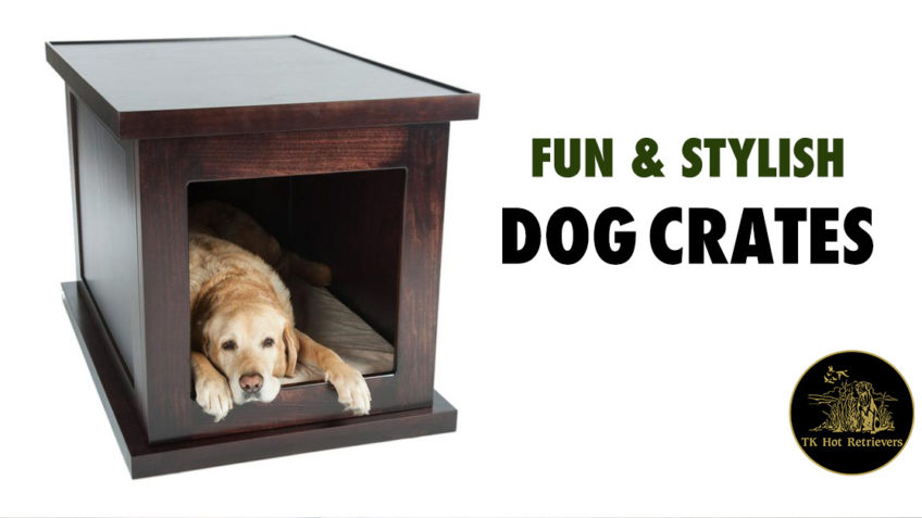 Fun and stylish dog crates.