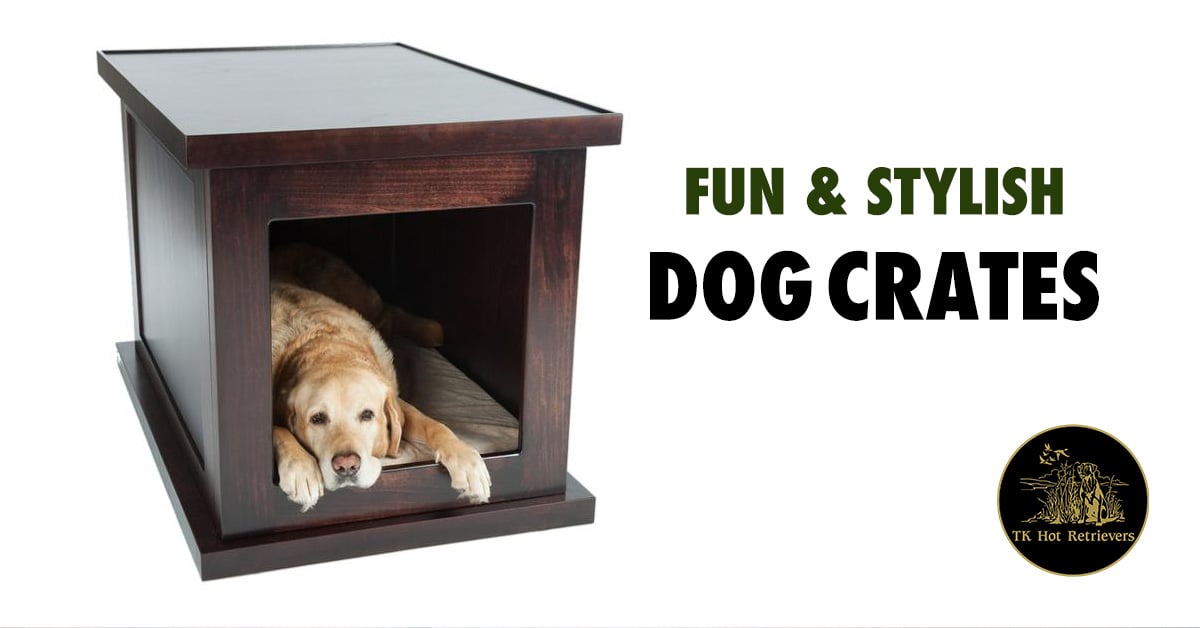 Fun and stylish dog crates.