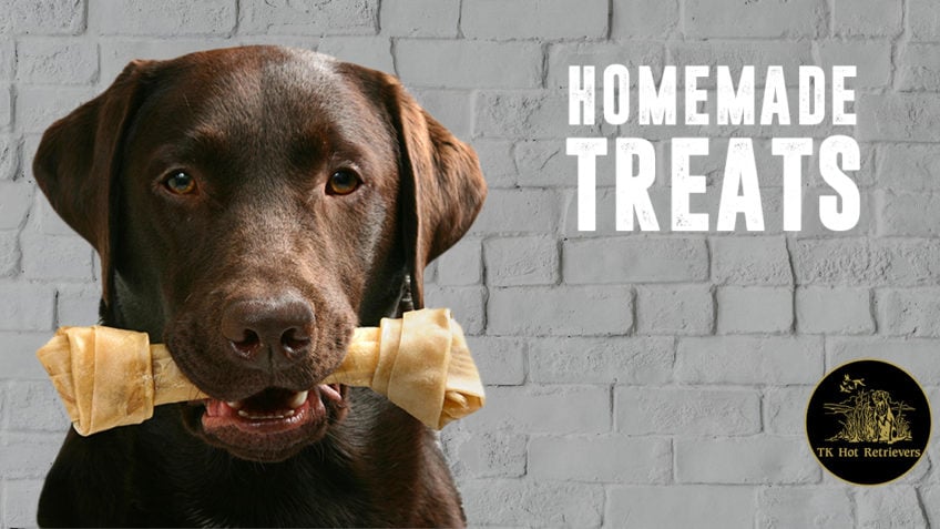 Recipes for Homemade Dog Treats