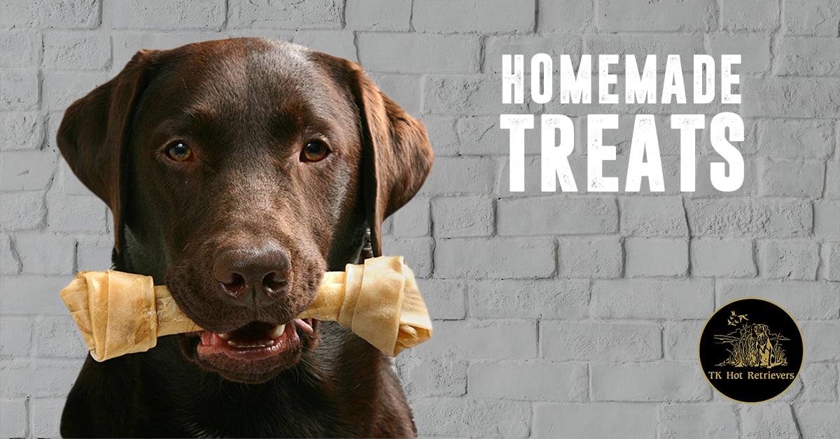 Recipes for Homemade Dog Treats