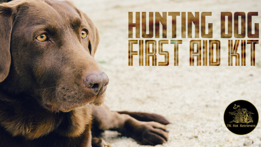 Bird dog first deals aid kit