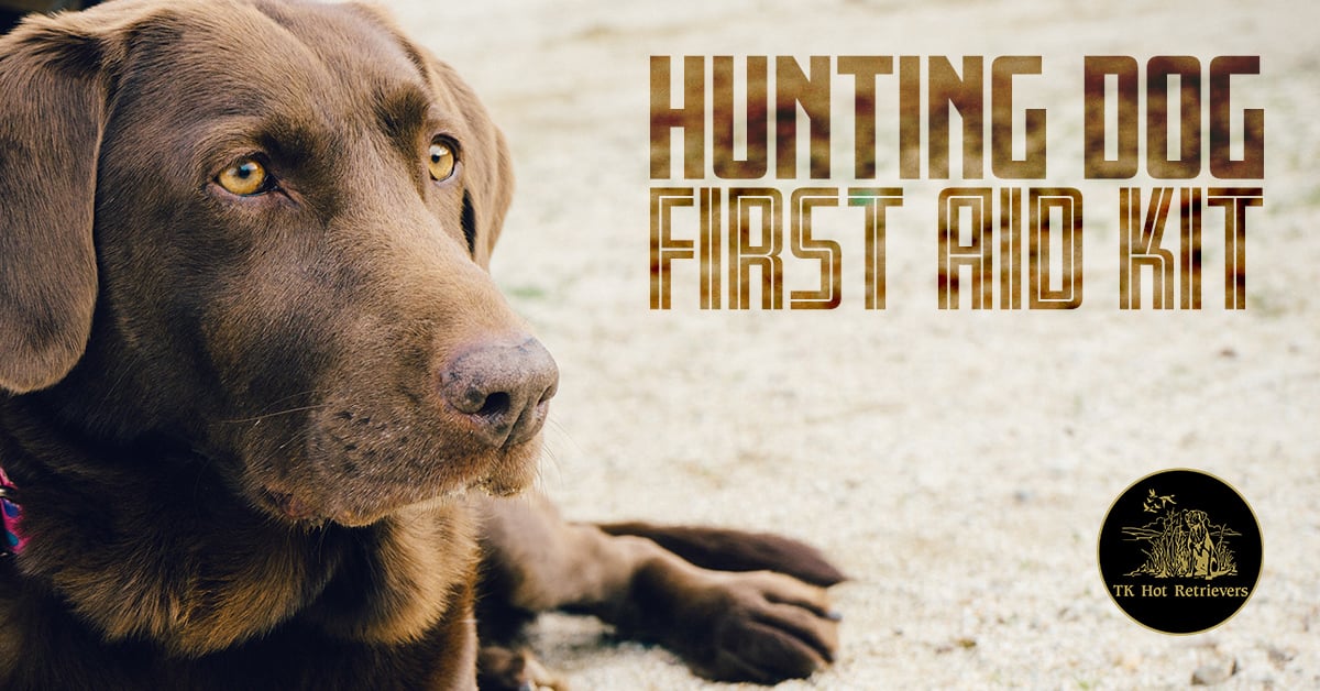 Hunting Dog First Aid Kit