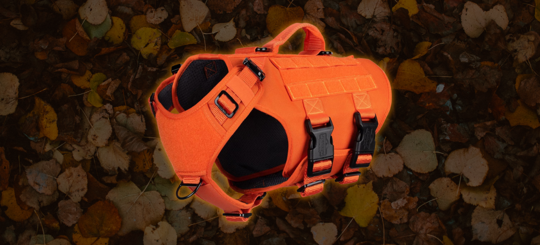 Top-Rated Hunting Dog Vests