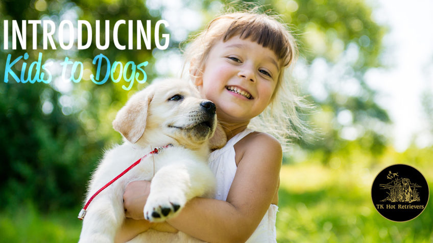 Introducing children to dogs.
