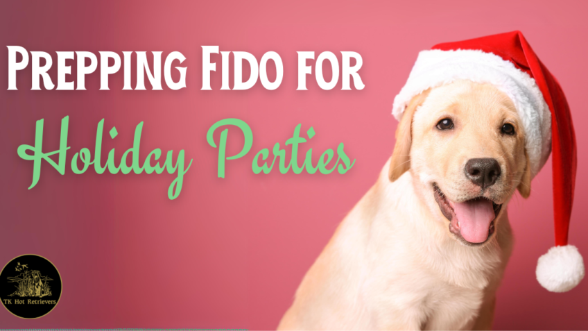 Prepping Your Dog for Holiday Parties