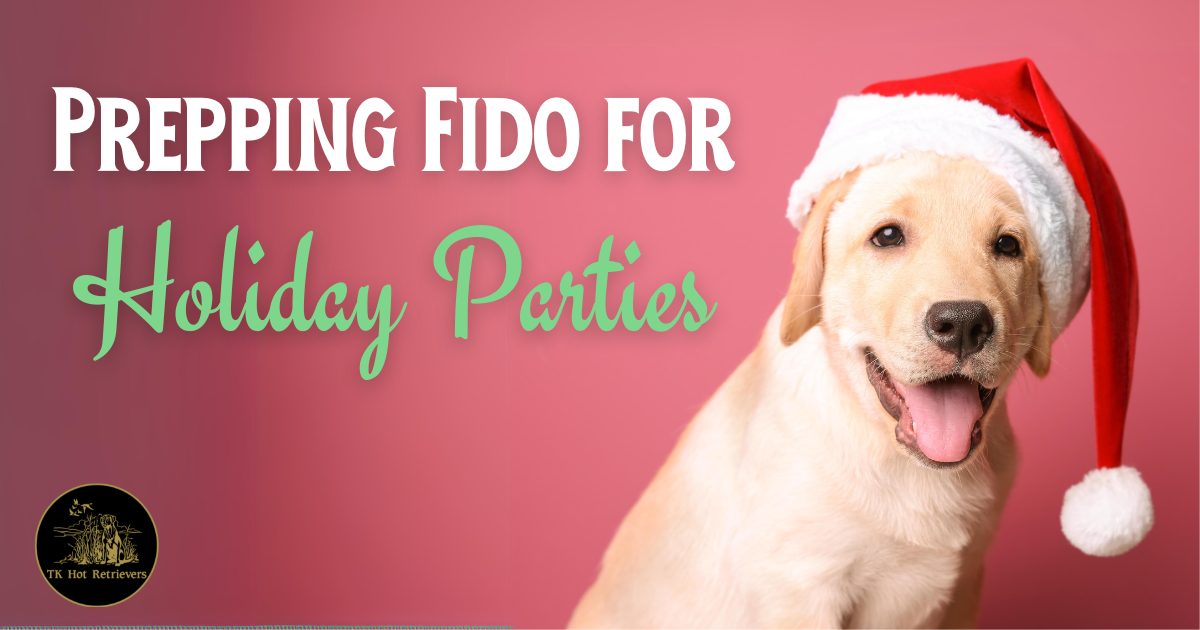 Prepping Your Dog for Holiday Parties