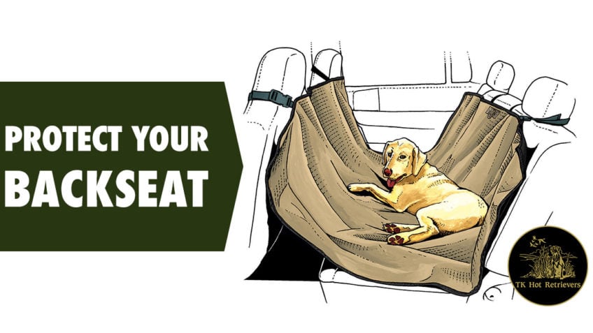 Protect your backseat during hunting season.