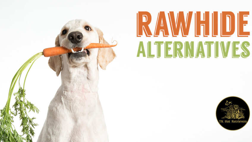 Rawhide alternatives for dogs.