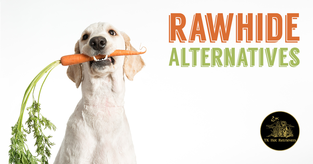 Rawhide alternatives for dogs.