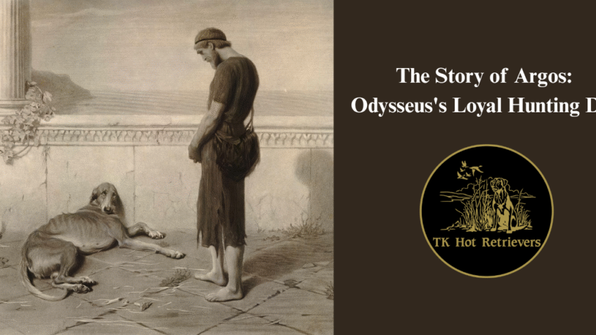 Story of Argos: Odysseus's Loyal Hunting Dog