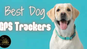 The Best GPS Trackers for Dogs