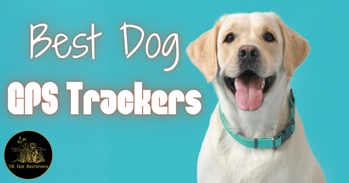 The Best GPS Trackers for Dogs