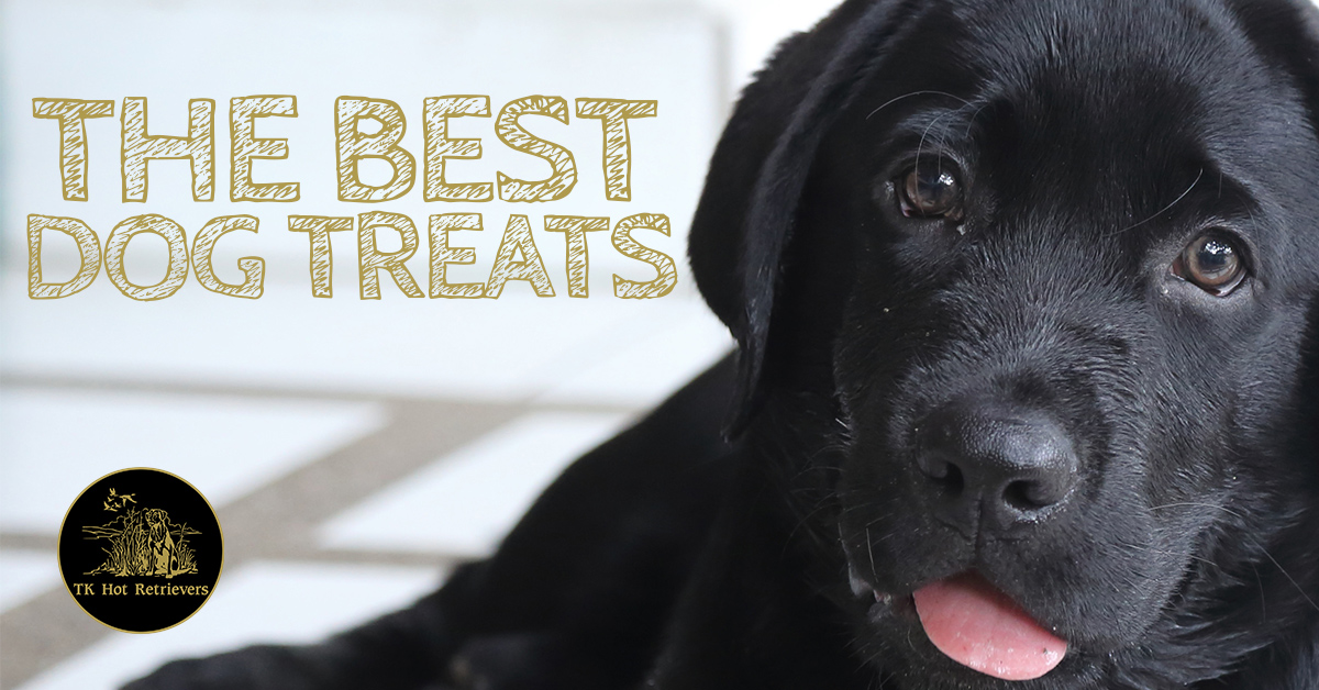 The Best Dog Treats to Feed Your Lab