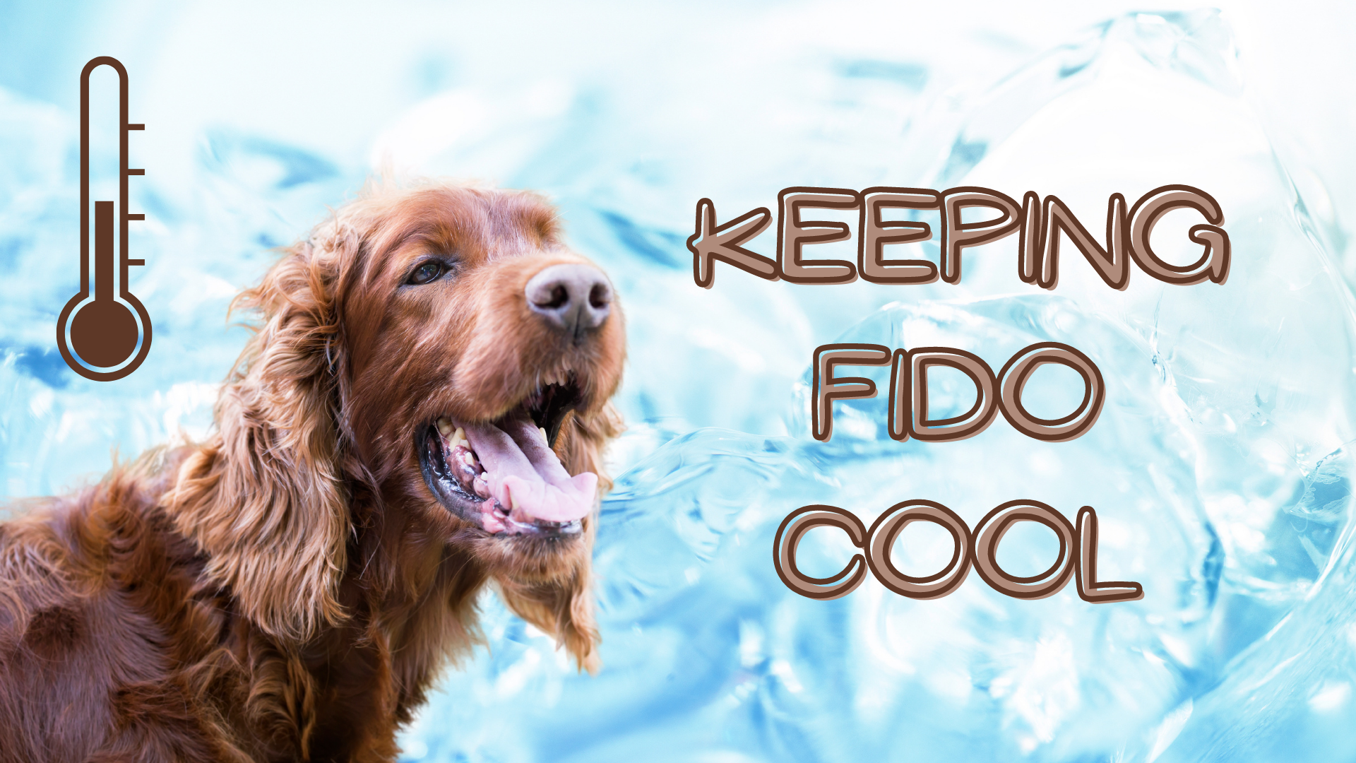 HOMIMP Dog Cooling Bandana Summer Super Soft Dog Scarf Durable Dog Cooling Accessory for Small Medium Large Dog Wearing 