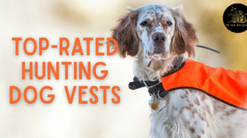 Top-Rated Hunting Dog Vests
