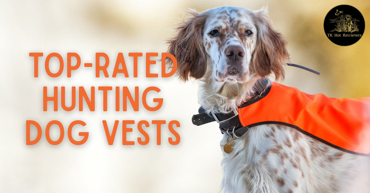 Top-Rated Hunting Dog Vests